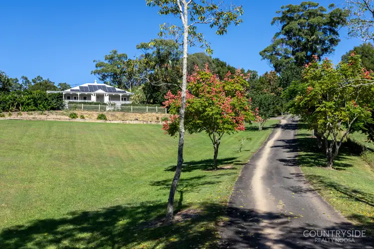 19 Ash Lane, Black Mountain QLD 4563