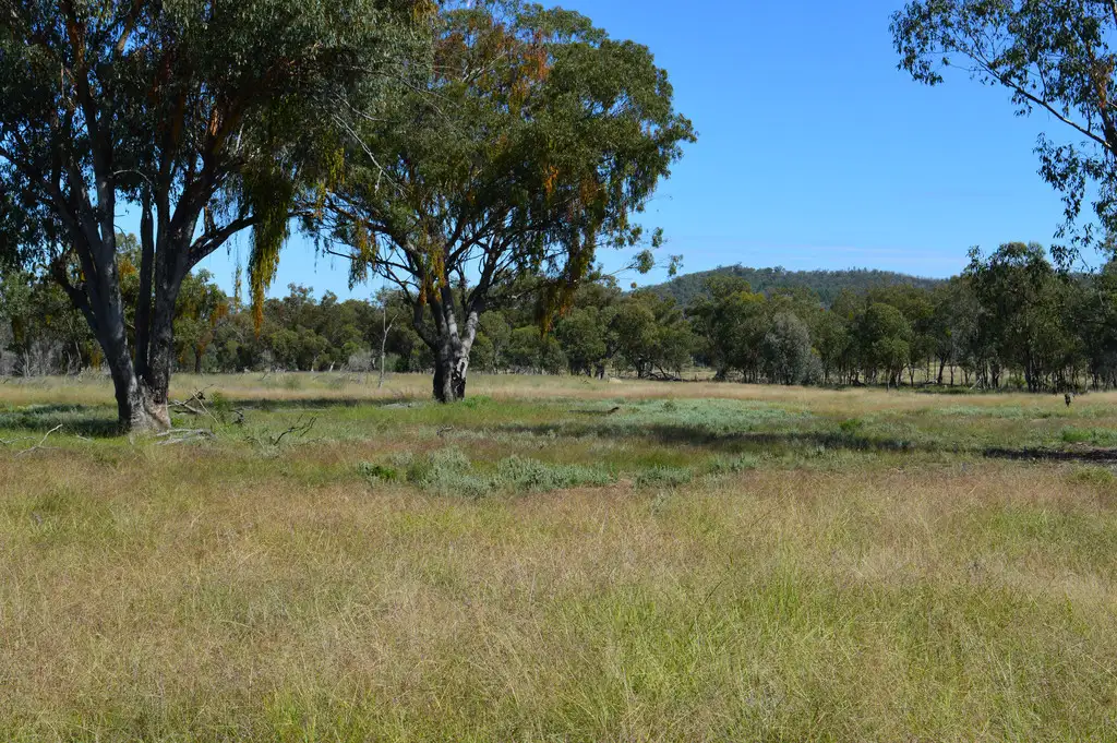 Main view of Homely rural property listing, 0 Cunningham Highway, Oman Ama QLD 4352