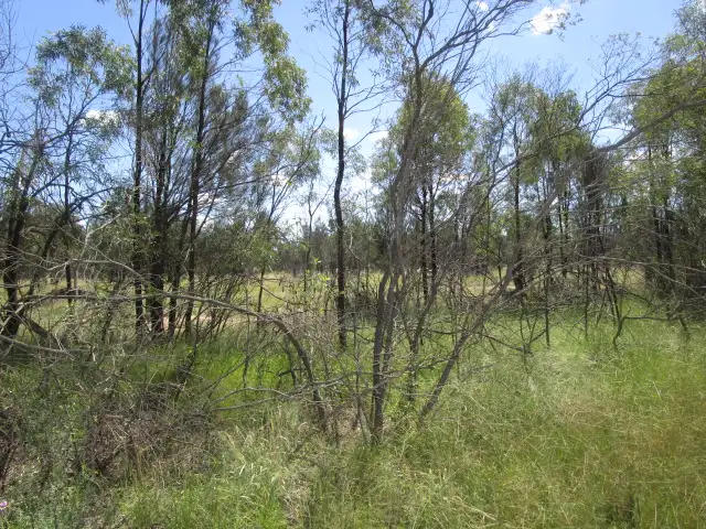 Second view of Homely rural property listing, LOT 25 TARA KOGAN ROAD, Tara QLD 4421