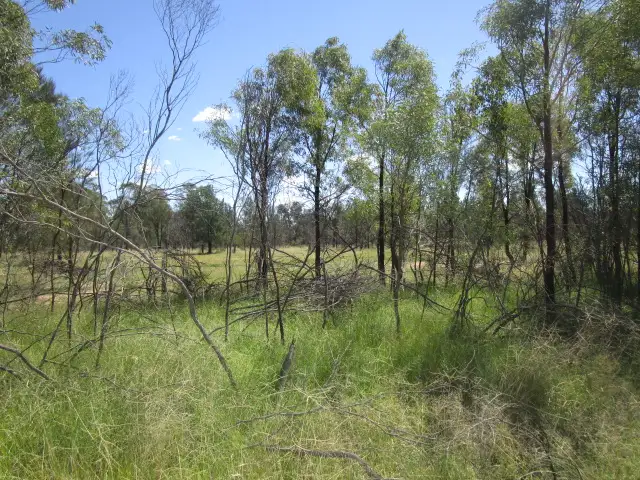 Fourth view of Homely rural property listing, LOT 25 TARA KOGAN ROAD, Tara QLD 4421
