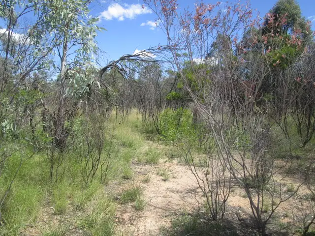 Sixth view of Homely rural property listing, LOT 25 TARA KOGAN ROAD, Tara QLD 4421