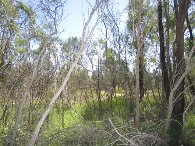 Seventh view of Homely rural property listing, LOT 25 TARA KOGAN ROAD, Tara QLD 4421