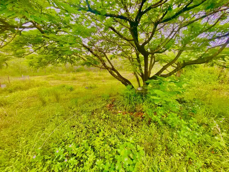 Third view of Homely house listing, 1383 John Clifford Way, Lowmead QLD 4676