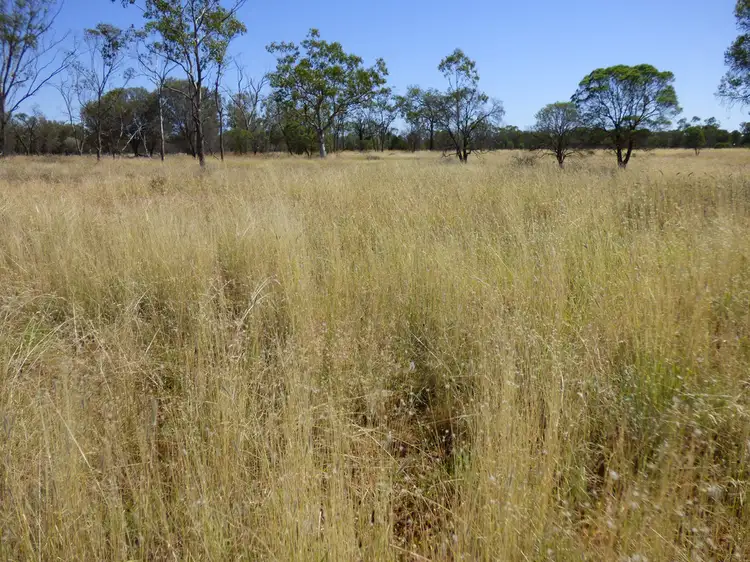 9142 Adavale Road, Charleville QLD 4470