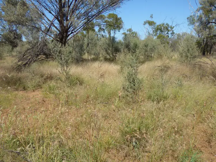Second view of Homely rural property listing, 9142 Adavale Road, Charleville QLD 4470
