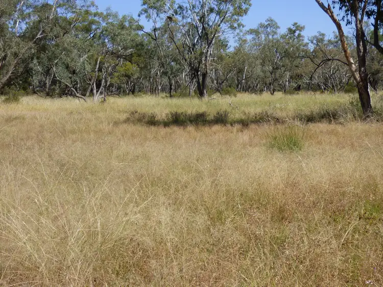 Sixth view of Homely rural property listing, 9142 Adavale Road, Charleville QLD 4470