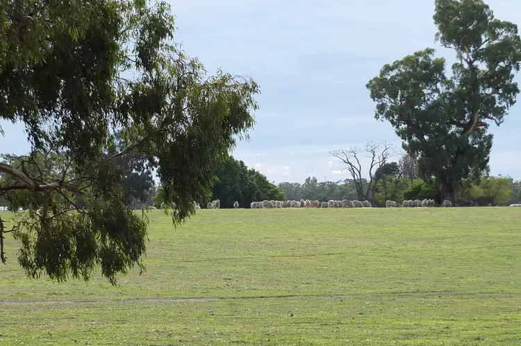 Second view of Homely rural property listing, Lot 1 & 2 TP236161 Pyrenees Hwy, Avoca VIC 3467