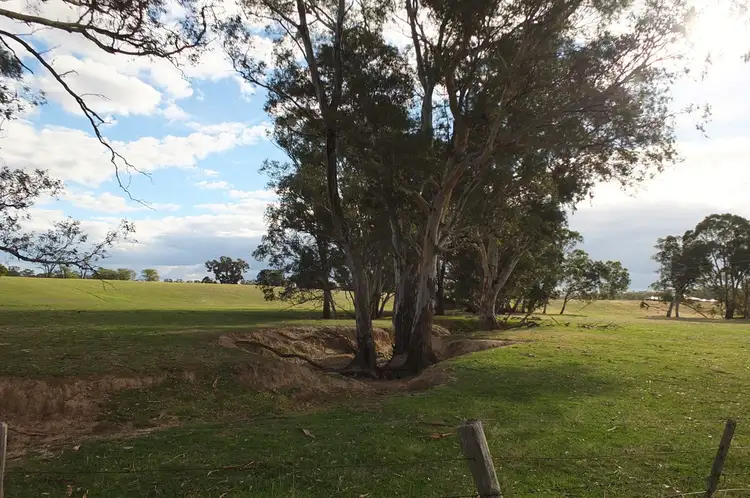 Fourth view of Homely rural property listing, Lot 1 & 2 TP236161 Pyrenees Hwy, Avoca VIC 3467