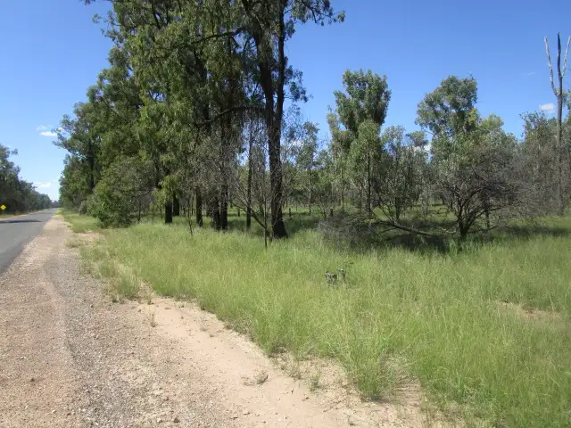 Third view of Homely rural property listing, Lot 35 Tara Kogan Road, Tara QLD 4421