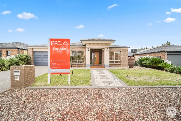 Main view of Homely house listing, 37 Elandra Drive, Ascot VIC 3551