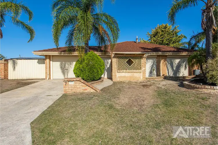 Main view of Homely house listing, 7 Parrot Court, Gosnells WA 6110