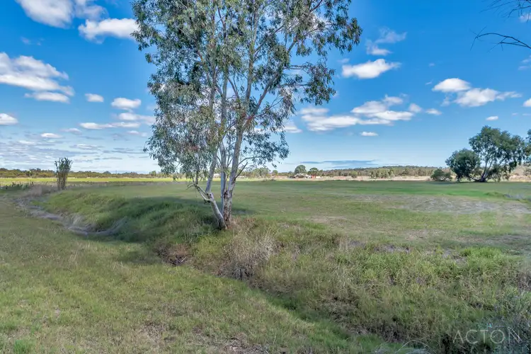 Seventh view of Homely house listing, 47 Young Road, Baldivis WA 6171
