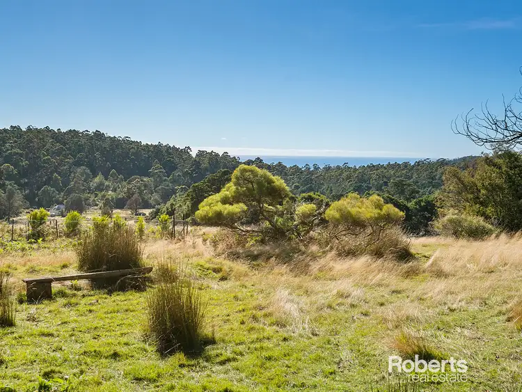 Fourth view of Homely land listing, Lot 1 Irish Town Road, St Marys TAS 7215