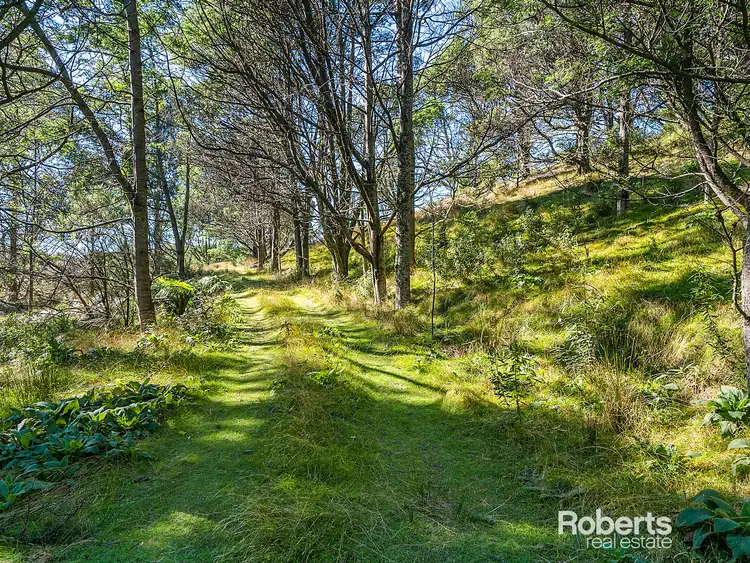 Seventh view of Homely land listing, Lot 1 Irish Town Road, St Marys TAS 7215