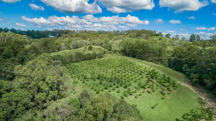 316 Coles Creek Road, Cooran QLD 4569