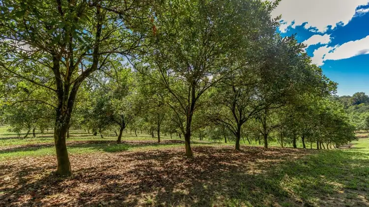 Third view of Homely land listing, 316 Coles Creek Road, Cooran QLD 4569