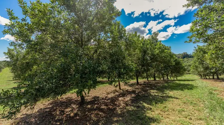 Fifth view of Homely land listing, 316 Coles Creek Road, Cooran QLD 4569