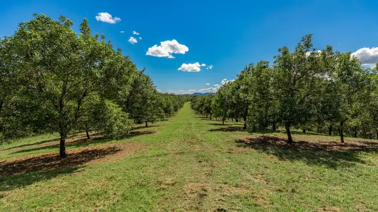Sixth view of Homely land listing, 316 Coles Creek Road, Cooran QLD 4569
