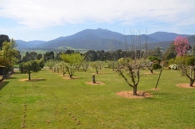 Main view of Homely land listing, 79 Kiewa Valley Highway, Tawonga South VIC 3698