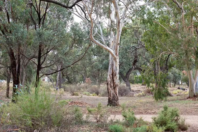 Second view of Homely rural property listing, 95 Page Drive, Blanchetown SA 5357