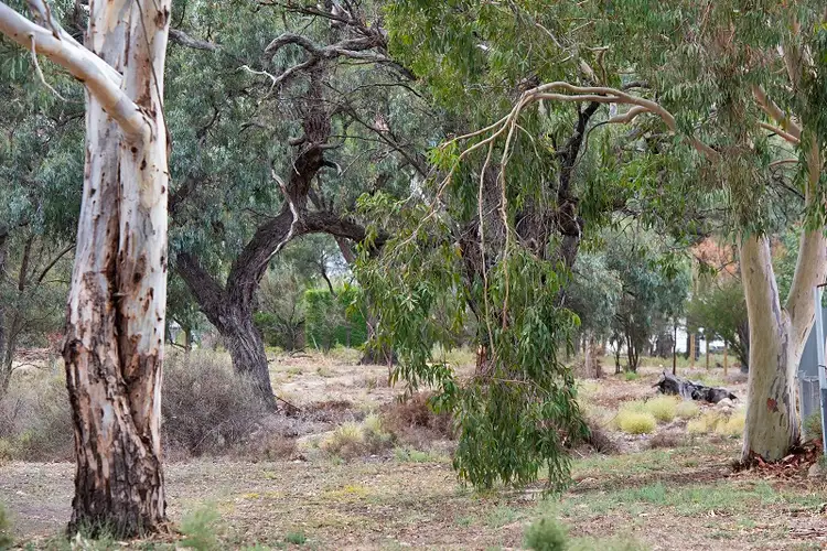 Third view of Homely rural property listing, 95 Page Drive, Blanchetown SA 5357