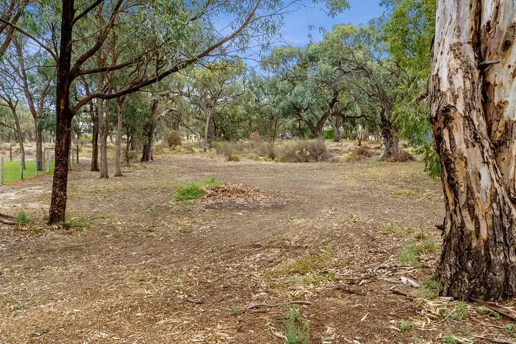 Fifth view of Homely rural property listing, 95 Page Drive, Blanchetown SA 5357