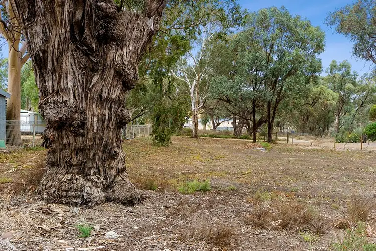 Seventh view of Homely rural property listing, 95 Page Drive, Blanchetown SA 5357