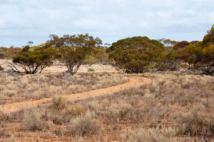 Main view of Homely land listing, Lot 394 Pelican Point Road, Morgan SA 5320