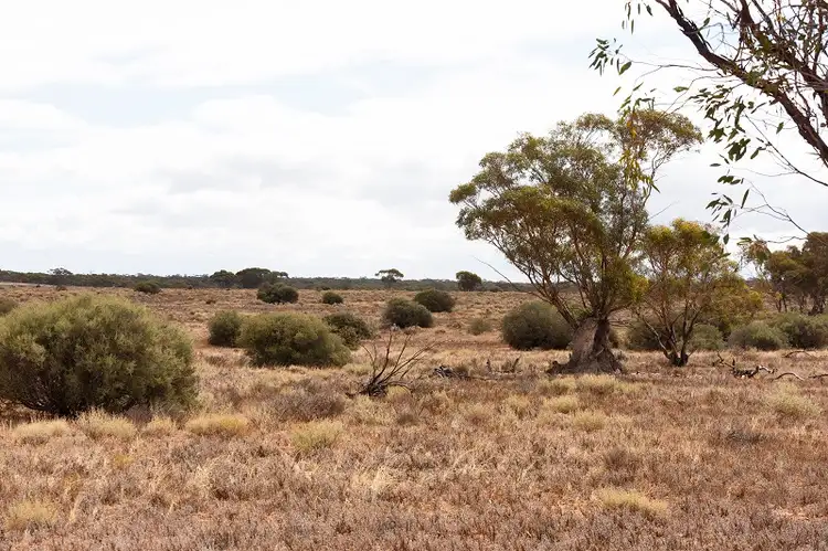 Third view of Homely land listing, Lot 394 Pelican Point Road, Morgan SA 5320
