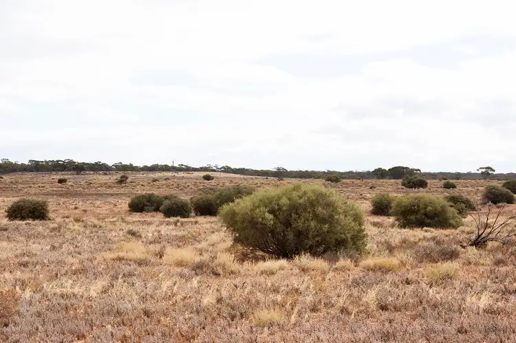 Fifth view of Homely land listing, Lot 394 Pelican Point Road, Morgan SA 5320