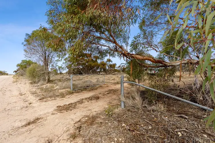 Seventh view of Homely land listing, Lot 394 Pelican Point Road, Morgan SA 5320