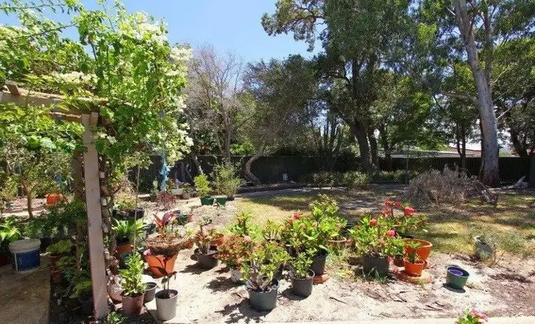 Seventh view of Homely house listing, 210 Hicks Street, Gosnells WA 6110