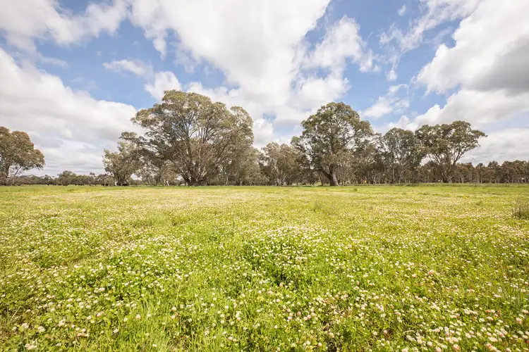 305 Rocky Castle Road, Penola SA 5277