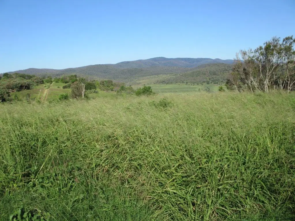 Main view of Homely rural property listing, "BRAESIDE" 509 ACRES, Bell QLD 4408