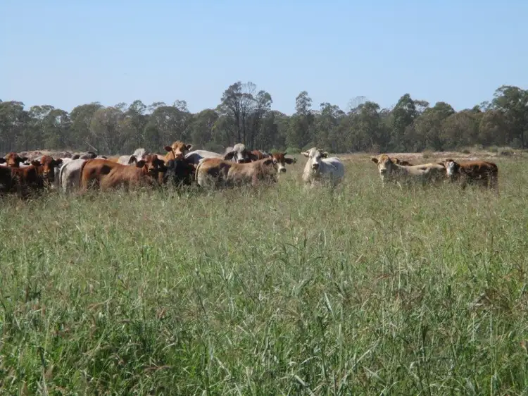 Main view of Homely rural property listing, "GLENCOE" 1279 ACRES, Chinchilla QLD 4413