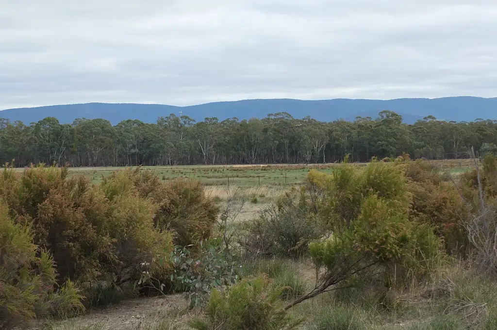 Main view of Homely rural property listing, CA 1A & 5, 122 Redpath Road, Avoca VIC 3467