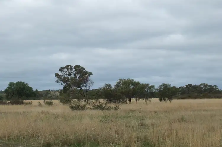 Fifth view of Homely rural property listing, CA 1A & 5, 122 Redpath Road, Avoca VIC 3467