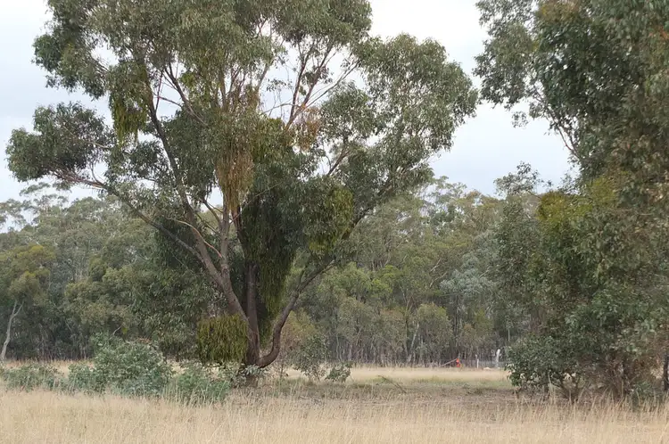 Sixth view of Homely rural property listing, CA 1A & 5, 122 Redpath Road, Avoca VIC 3467