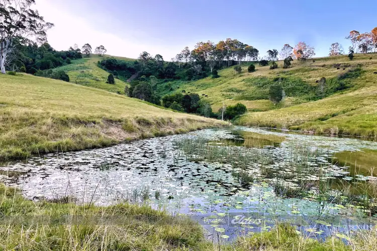 Fifth view of Homely land listing, Lot 28 / 1144 Bunyah Road, Bunyah NSW 2429