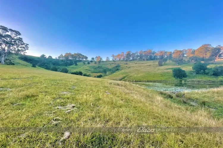 Sixth view of Homely land listing, Lot 28 / 1144 Bunyah Road, Bunyah NSW 2429