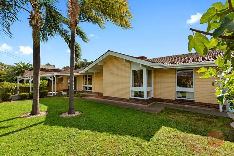 1 Duncan Ave, Park Holme SA 5043