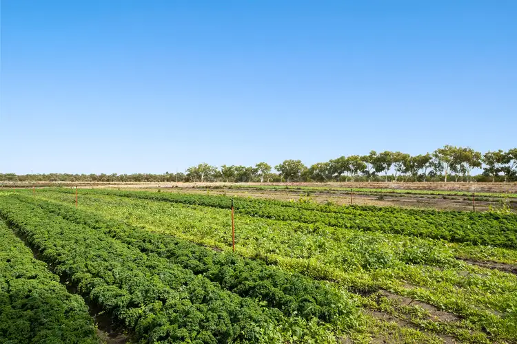 510 Duffy Road, Bambun WA 6503