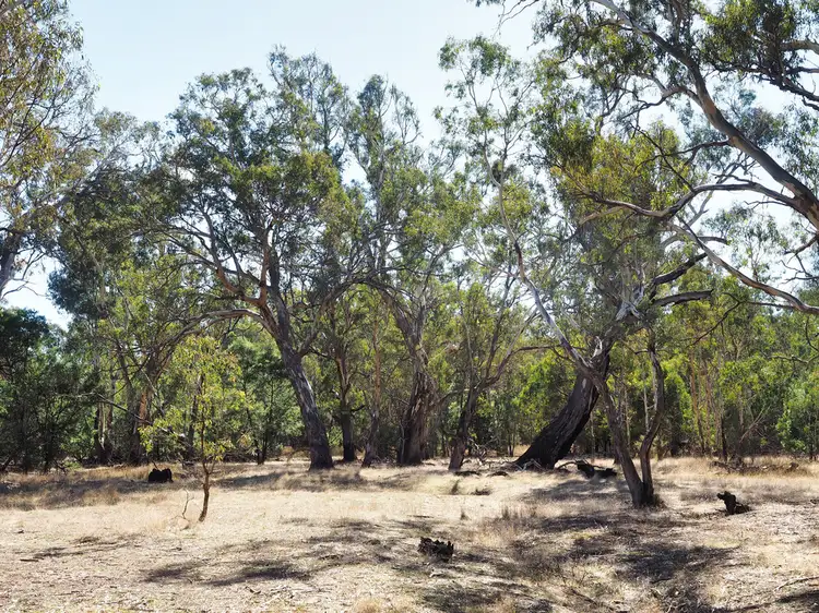 Fourth view of Homely rural property listing, Lot 1 Redman Road, Moyston VIC 3377