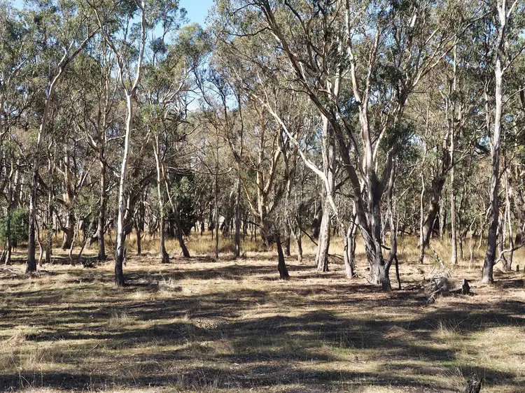Fifth view of Homely rural property listing, Lot 1 Redman Road, Moyston VIC 3377