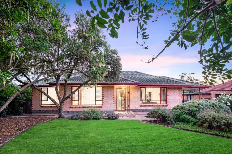 Main view of Homely house listing, 23 Warwick Grove, Morphett Vale SA 5162