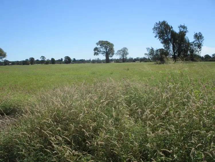 Fourth view of Homely rural property listing, INVESTMENT OPPORTUNITY, Chinchilla QLD 4413