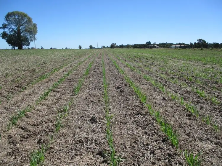 Sixth view of Homely rural property listing, INVESTMENT OPPORTUNITY, Chinchilla QLD 4413