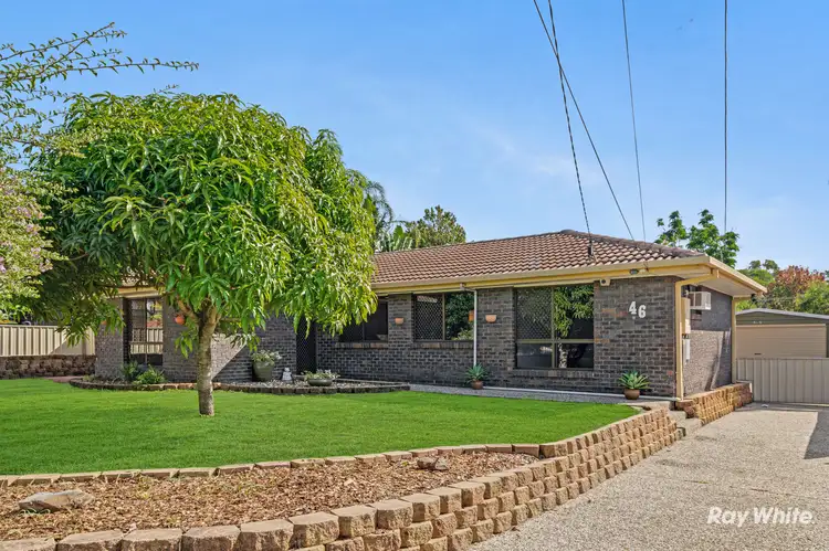 Main view of Homely house listing, 46 Mayfair Drive, Browns Plains QLD 4118