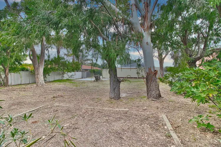 Seventh view of Homely land listing, 19a Payne Street, Shoalwater WA 6169