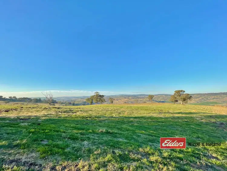 Fourth view of Homely rural property listing, Lot 32 Pride of Oak Road, Canowindra NSW 2804